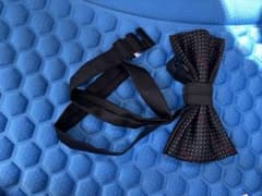 黒と赤のドット 蝶ネクタイのサムネイル
