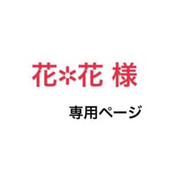 アクセサリー/ピアス/手作りのサムネイル