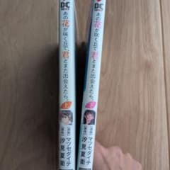 그 꽃이 피는 언덕으로, 너와 또 만날 수 있으면. 상하 세트