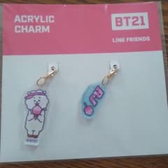 BTS BT21 아크릴 매력 RJ