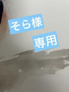 そら様専用　手描きイラストのサムネイル