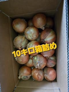 訳あり 玉ねぎ 10kgのサムネイル