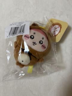 古本屋 たぬきだもんくじ ぜったいたぬきなマスコットのサムネイル
