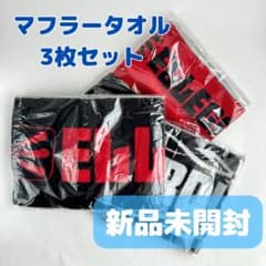 ELLEGARDEN タオル 未使用 3点セット エルレガーデン マフラータオル ELLEGARDEN ライブ フェイスタオル