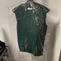 LACOSTE 緑 Vネック ベスト サイズ3のサムネイル