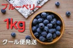 生ブルーベリー　1kgのサムネイル