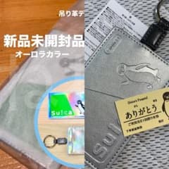 Suicaのペンギン 定期入れ パスケース シルバー オーロラ 硬券 JR
