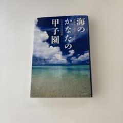 海のかなたの甲子園 : 沖縄・本土復帰への祈りと52年目の全国制覇のサムネイル