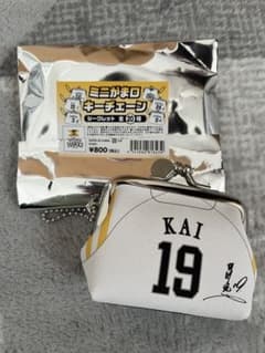 ソフトバンクホークス　ミニがま口キーチェーン　甲斐のサムネイル