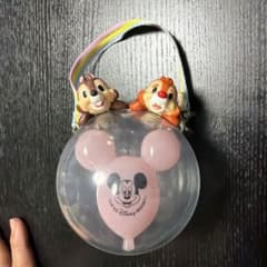 東京ディズニーリゾート チップとデール ミニケースのサムネイル