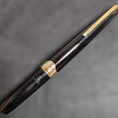 PLATINUM万年筆 18k 細軟刻印 ヴィンテージ 希少 ポケットサイズ