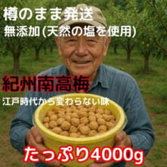 △価格高騰！農家直送！紀州南高梅 樽 4000g 無添加 和歌山 紀州 白梅