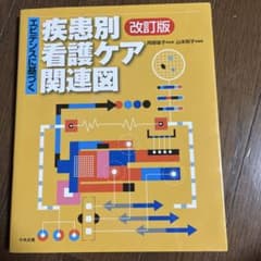 エビデンスに基づく疾患別看護ケア関連図のサムネイル