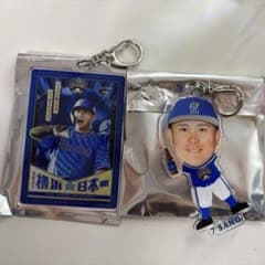 ベイスターズ佐野恵太横浜日本一選手ビジュアル ブラインドアクリル