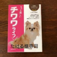 もっと楽しい チワワライフのサムネイル
