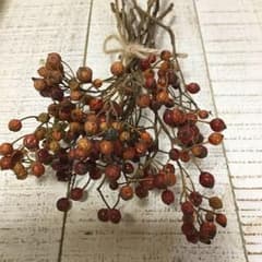 アンティークカラー野いばらの実10本(今季薔薇の実もう少し先です)のサムネイル