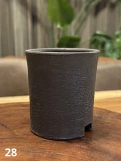 陶器鉢 植木鉢 塊根植物 コーデックスのサムネイル