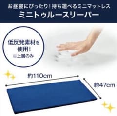 【新品】未使用未開封 ミニトゥルースリーパーごろ寝マット 2枚セット 新品・未使用・未開封】ミニトゥルースリーパー ごろ寝マット 2枚