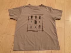 mont-bell 昆虫プリント Tシャツ ベージュのサムネイル
