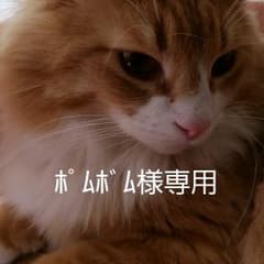 ネスカフェドルチェグスト 30pのサムネイル