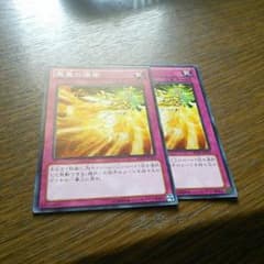 オマケ付き　鳳翼の爆風のサムネイル