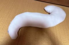 医師がすすめる抱きまくらのサムネイル