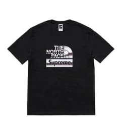 Supreme / The North Face® Metallic Logoのサムネイル