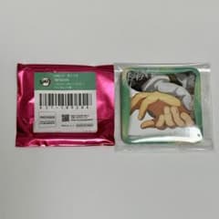 竈門炭治郎 冨岡義勇 鬼滅の刃 隊士百景 マニアック缶バッジ マニ缶