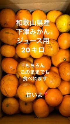 和歌山県産　下津みかん　ジュース用　20キロ　オマケ付き　北海道の方へのサムネイル