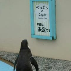 みっつん様専用のサムネイル