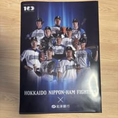 北海道日本ハムファイターズ 北洋銀行 クリアファイルのサムネイル