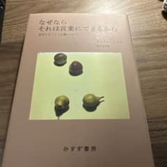なぜならそれは言葉にできるから カロリン・エムケ みすず書房のサムネイル