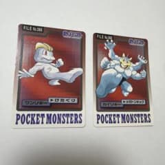 ポケットモンスター カードダス ワンリキー カイリキー 2枚セットのサムネイル