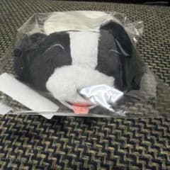 sumika 縁会 いろは ぬいぐるみバンド ポストカード+おまけ sumika いろは ぬいぐるみバンド - メルカリ