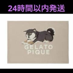 ジェラートピケ GELATO PIQUE 柴犬 ブランケット - メルカリ