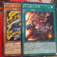 モルモラット、会局のサムネイル