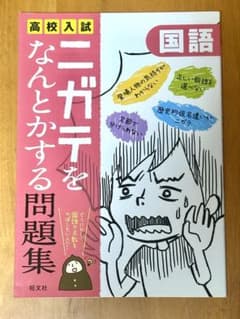 高校入試 ニガテをなんとかする問題集 国語のサムネイル