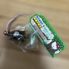 ご当地キティ 鹿児島限定 屋久島 根付 - メルカリ
