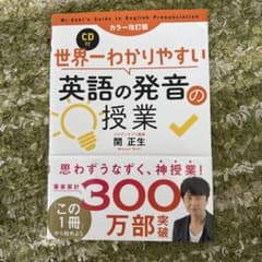 世界一わかりやすい英語の発音の授業 : 関先生が教えるのサムネイル