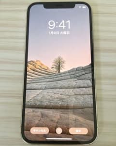 iPhone 12 Pro シルバー 128GB SIMフリーのサムネイル