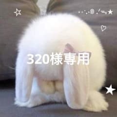 320様専用ページのサムネイル