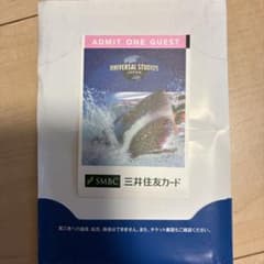 ユニバーサルスタジオジャパン パートナーフリーパス 大人 1枚のサムネイル