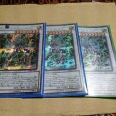 遊戯王 サイフレームロードΩ ３枚のサムネイル
