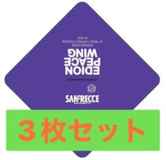 さんちゃん様専用 サンフレッチェ広島　フリースポンチョ3枚のサムネイル