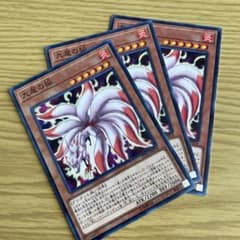 遊戯王オフィシャルカードゲーム 九尾の狐×3 馬頭鬼×1のサムネイル