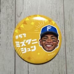 【美品匿名】日本ハムファイターズ　水谷瞬　レプリカユニフォーム　缶バッジ付き 627【北海道日本ハムファイターズ】カタカナシリーズ缶バッジ 水谷瞬