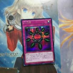 破壊輪 シクのサムネイル