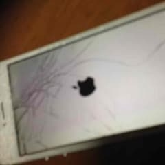 返品専用のサムネイル