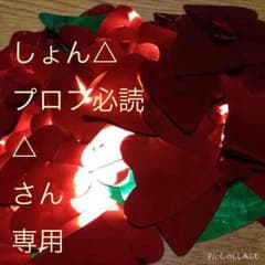 しょん△プロフ必読△さん専用のサムネイル