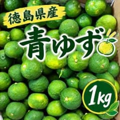徳島県産 青ゆず 訳あり品 1キロ 送料無料 - メルカリ